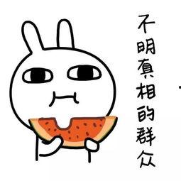 718吃瓜娱乐举报电话,守护网络清朗，共建和谐空间